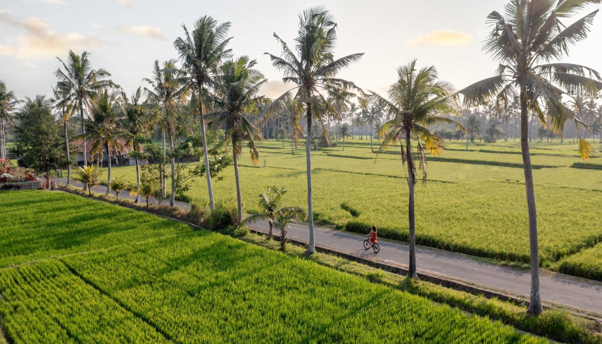 TheWakanda Resort A Pramana Experience Ubud  Bagian luar foto