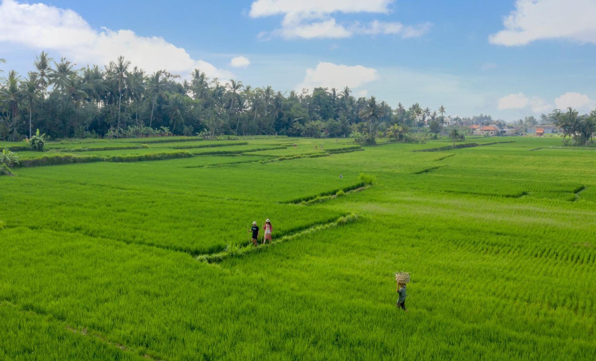 TheWakanda Resort A Pramana Experience Ubud  Bagian luar foto